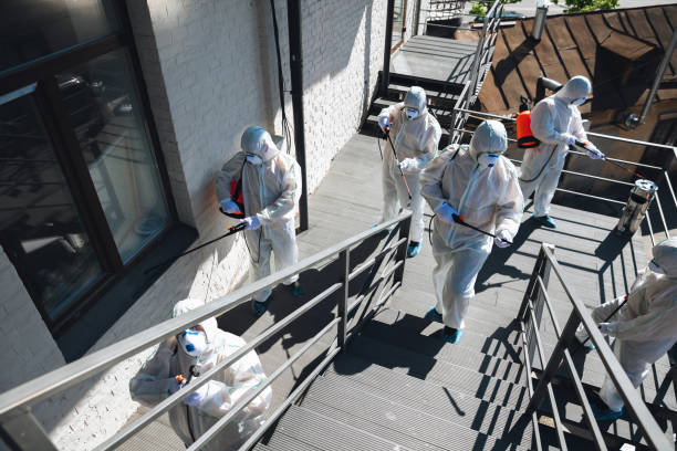 Best Mold Removal for HVAC Installations  in Vamo, FL