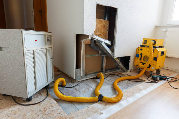 Best Indoor Air Quality Assessment  in Vamo, FL