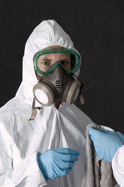 Best Environmental Consulting for Mold Prevention  in Vamo, FL